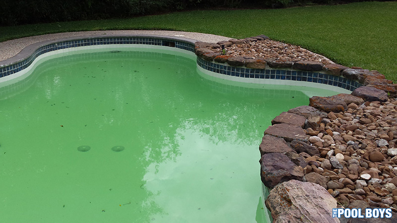 Green pool water after heavy rains and power off for several days